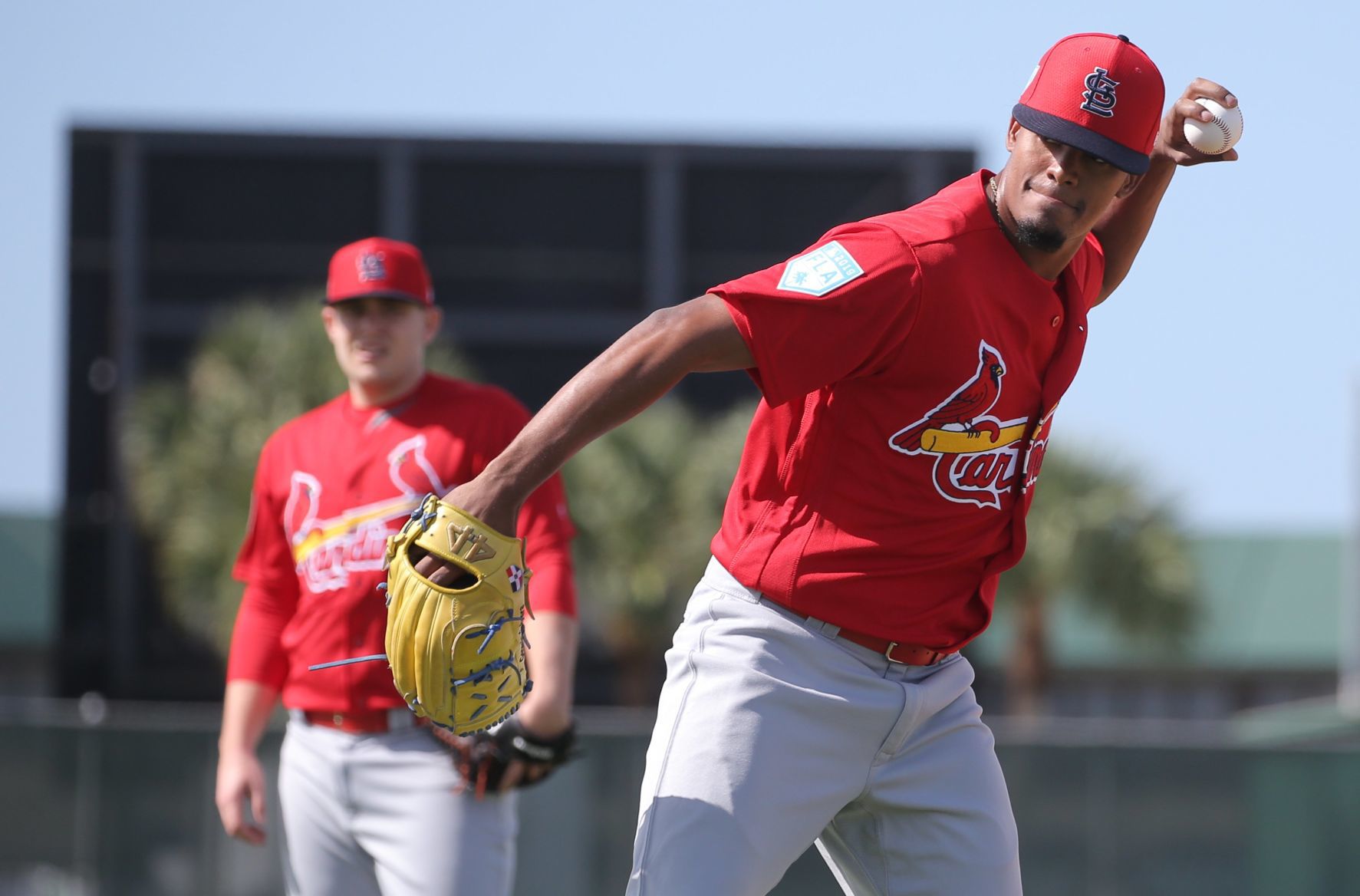 Cardinals spring training continues